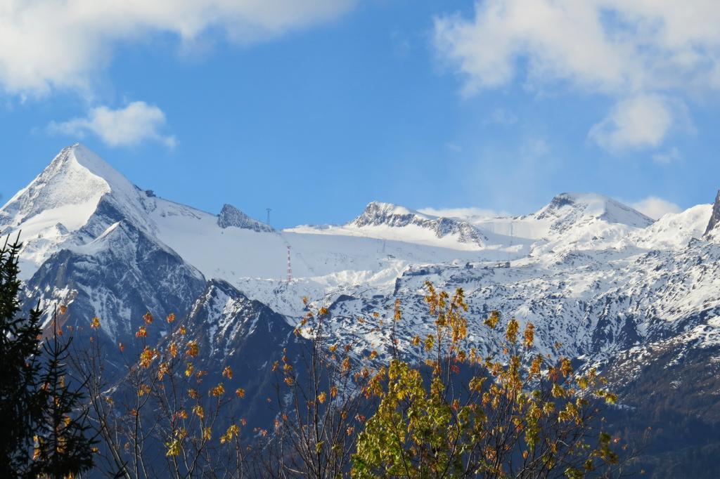 Pension Alpentraum Zell am See Rum bild